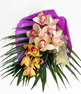  Tunceli ieki maazas  1 adet dal orkide buket halinde sunulmakta