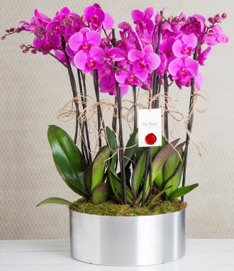11 dall mor orkide metal vazoda  Tunceli iek servisi , ieki adresleri 