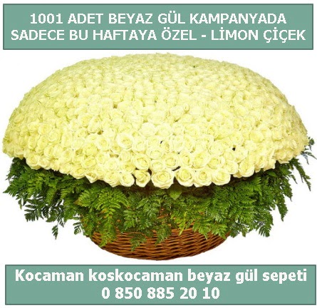 1001 adet beyaz gül sepeti özel kampanyada  Tunceli çiçek servisi , çiçekçi adresleri 
