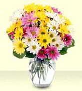  Tunceli çiçek satışı  mevsim çiçekleri mika yada cam vazo