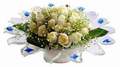 cam günes ve dolunay bembeyaz  Tunceli online çiçekçi , çiçek siparişi 
