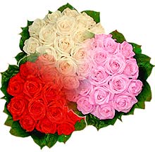 3 renkte gül seven sever   Tunceli online çiçekçi , çiçek siparişi 