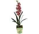 Özel Yapay Orkide Pembe   Tunceli internetten çiçek satışı 
