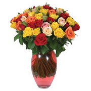 51 adet gül ve kaliteli vazo   Tunceli çiçek servisi , çiçekçi adresleri 