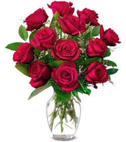  Tunceli ucuz çiçek gönder  1 düzine kirmizi gül sevenlere özel vazo gülleri