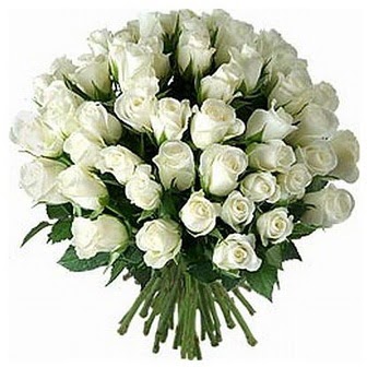  Tunceli online çiçek gönderme sipariş  33 adet beyaz gül buketi
