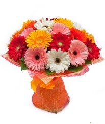 Renkli gerbera buketi  Tunceli çiçekçiler 
