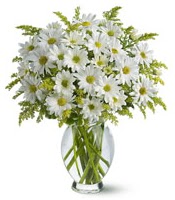 Vazo içerisinde beyaz krizantem çiçekleri  Tunceli çiçek gönderme sitemiz güvenlidir 