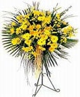  Tunceli 14 şubat sevgililer günü çiçek  Sari kazablanka Ferforje