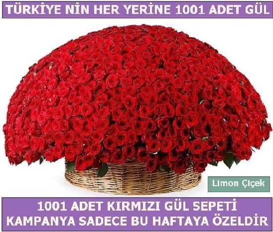 1001 Adet kırmızı gül Bu haftaya özel  Tunceli çiçek online çiçek siparişi 
