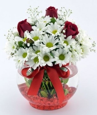 Fanusta 3 Gül ve Papatya  Tunceli çiçek gönderme 
